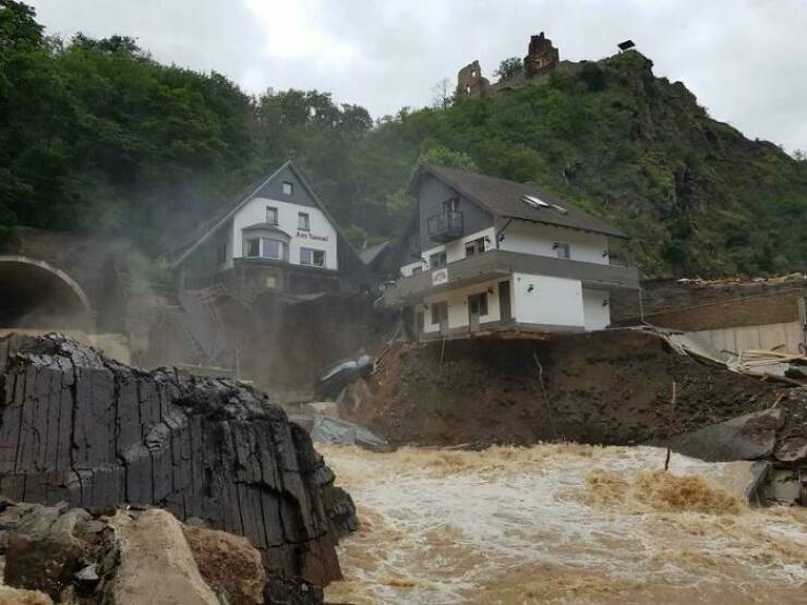 Humans And Animals Standing Strong Against Nature