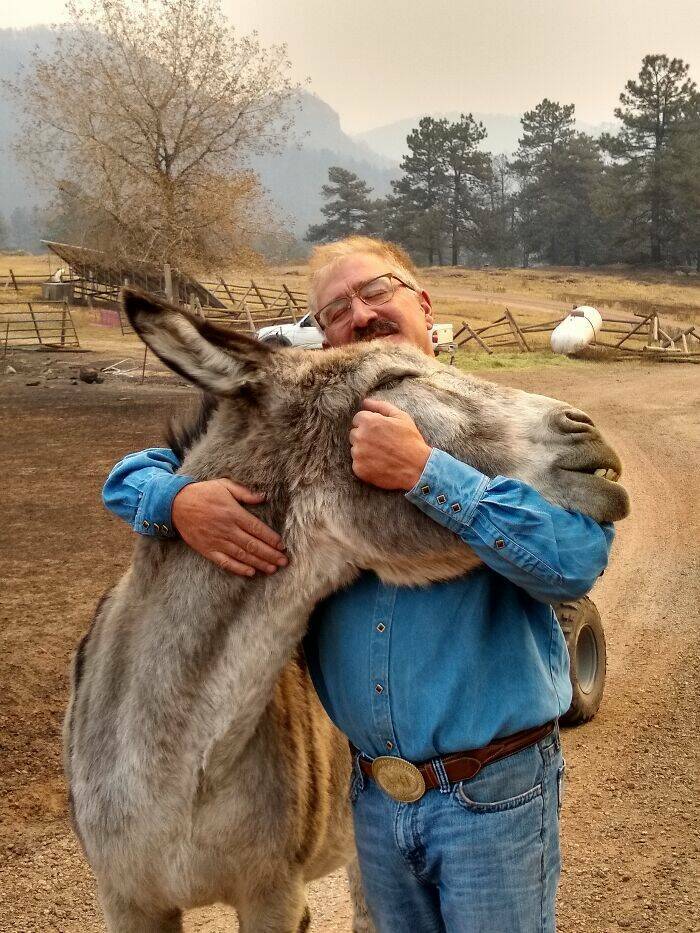 Humans And Animals Standing Strong Against Nature