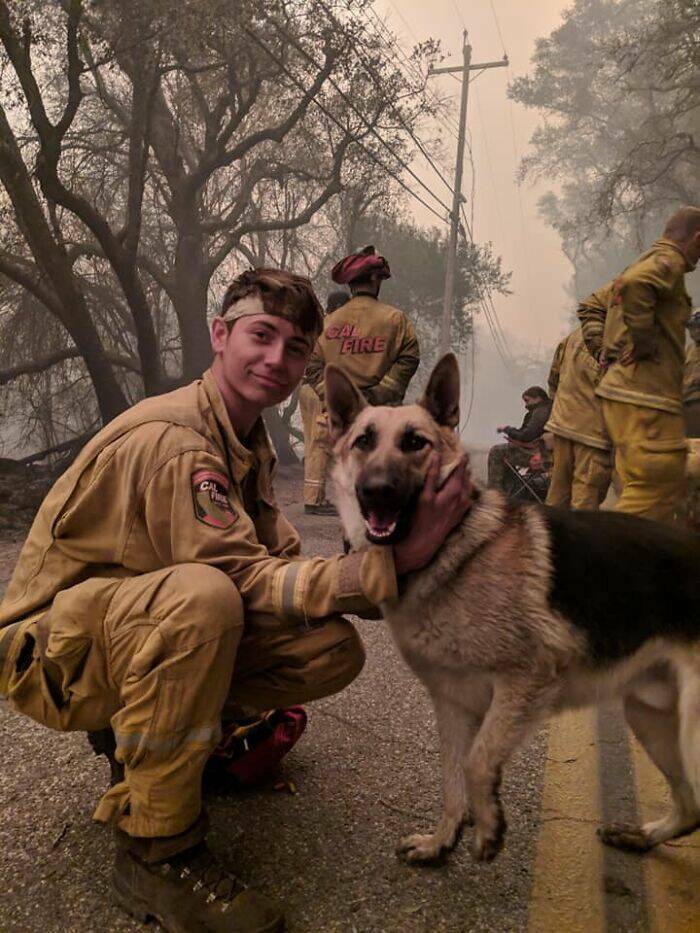 Humans And Animals Standing Strong Against Nature