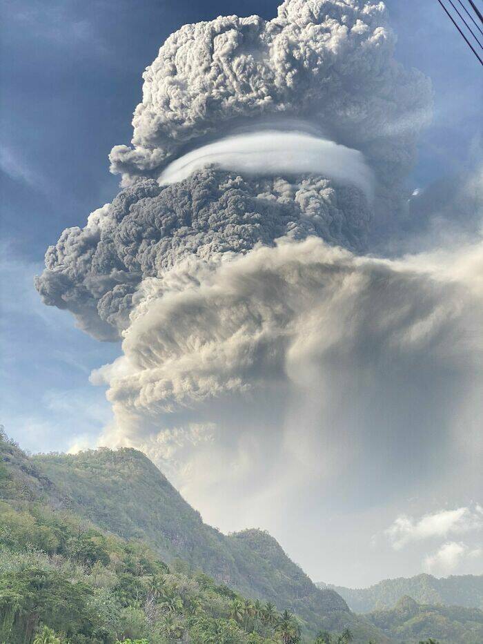 Humans And Animals Standing Strong Against Nature