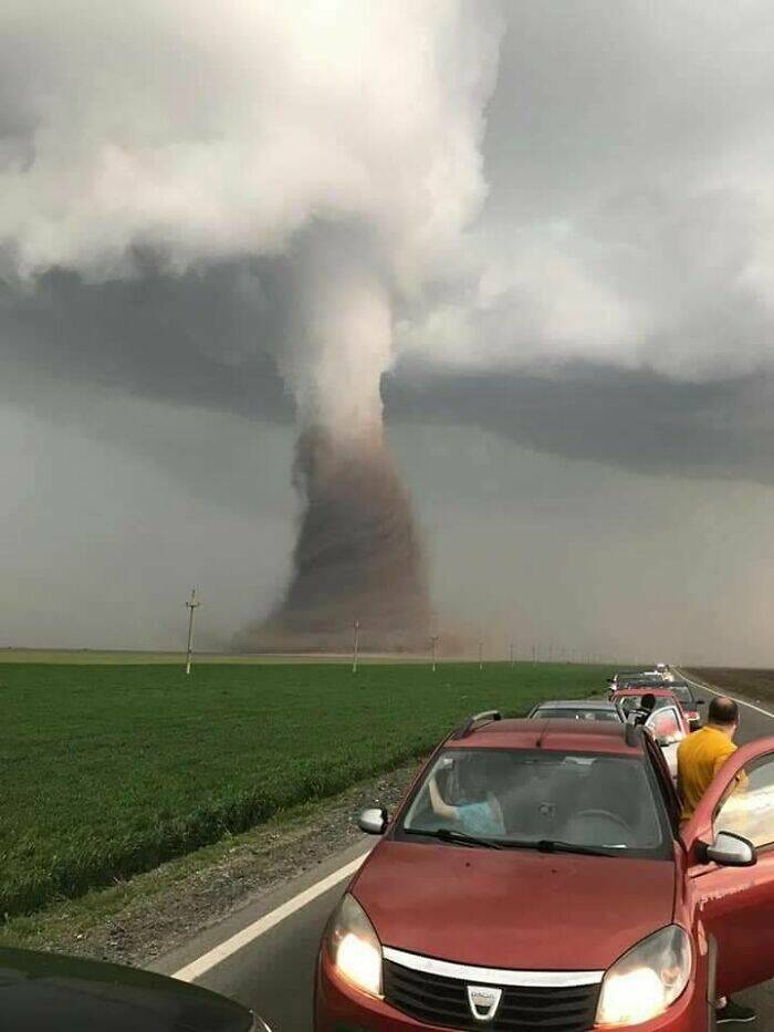 Humans And Animals Standing Strong Against Nature