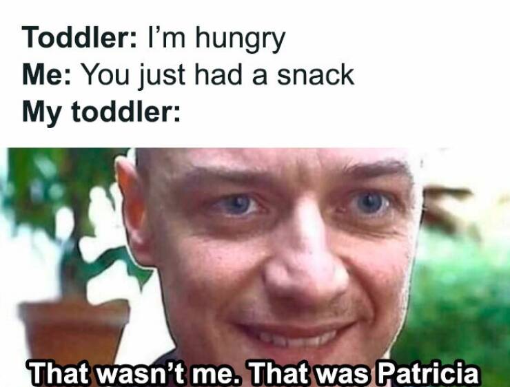 The Funniest Memes About Parenting