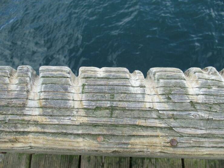 When Time Leaves Its Mark