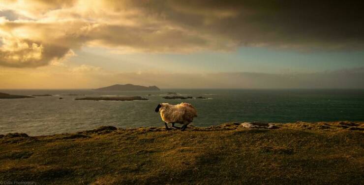 Accidental Renaissance Moments Accidental Renaissance Moments