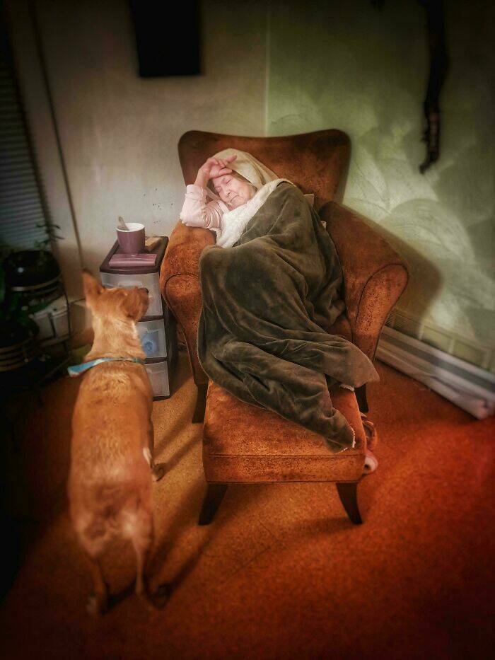 Accidental Renaissance Moments