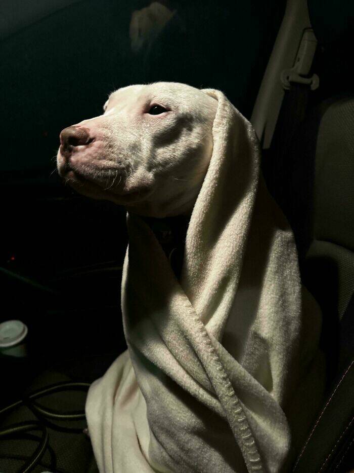 Accidental Renaissance Moments