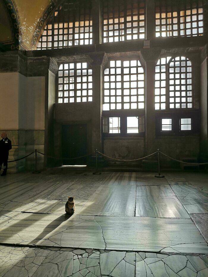 Accidental Renaissance Moments Accidental Renaissance Moments