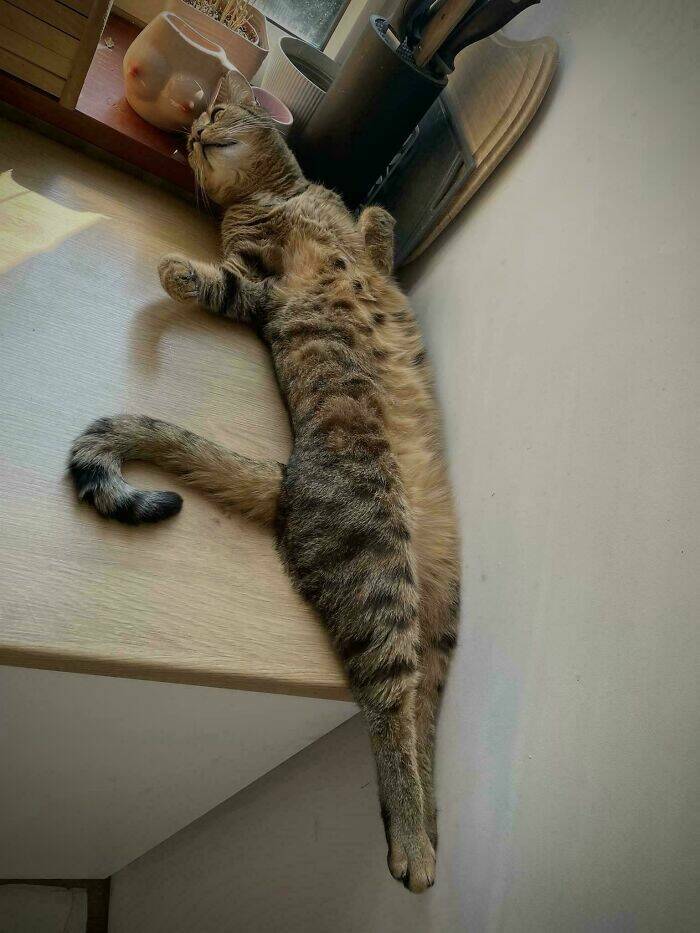 Accidental Renaissance Moments Accidental Renaissance Moments