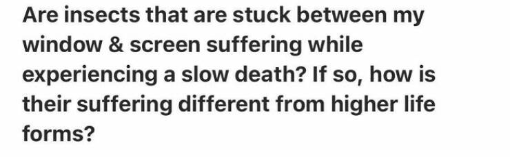 The Most Bizarre Questions Ever Posted On Quora