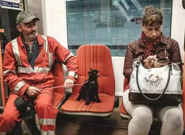 Weird And Funny Subway Passenger Pics