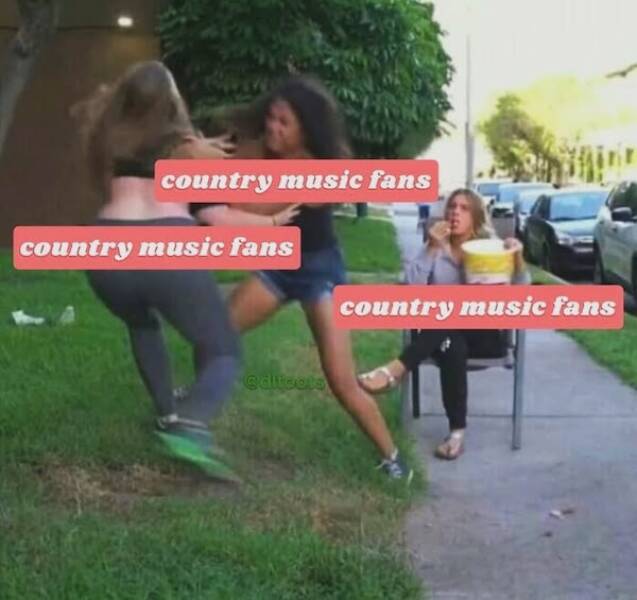 Memes For Country Music Fans