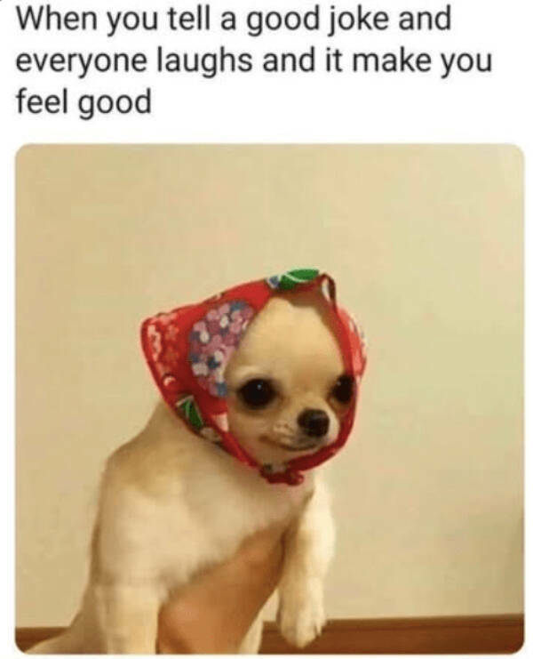 Wholesome Memes For A Better Day