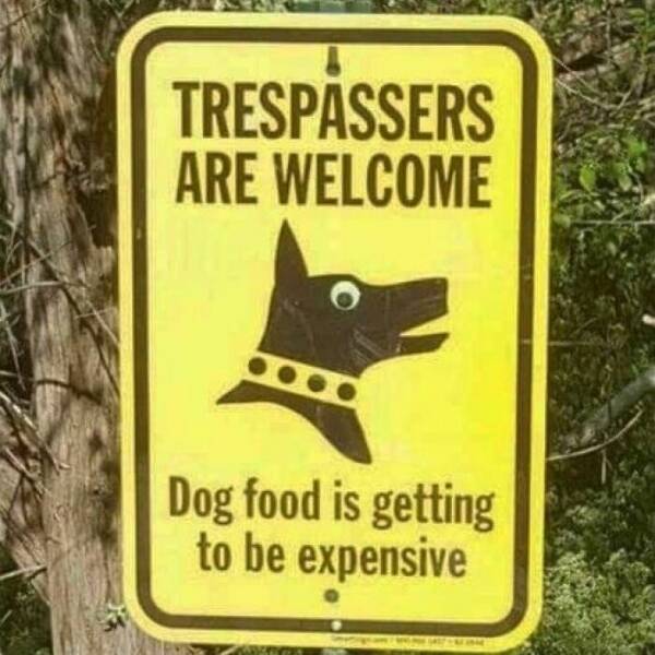 Adorable And Funny Dog Memes