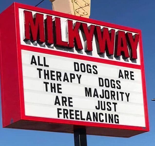 Adorable And Funny Dog Memes