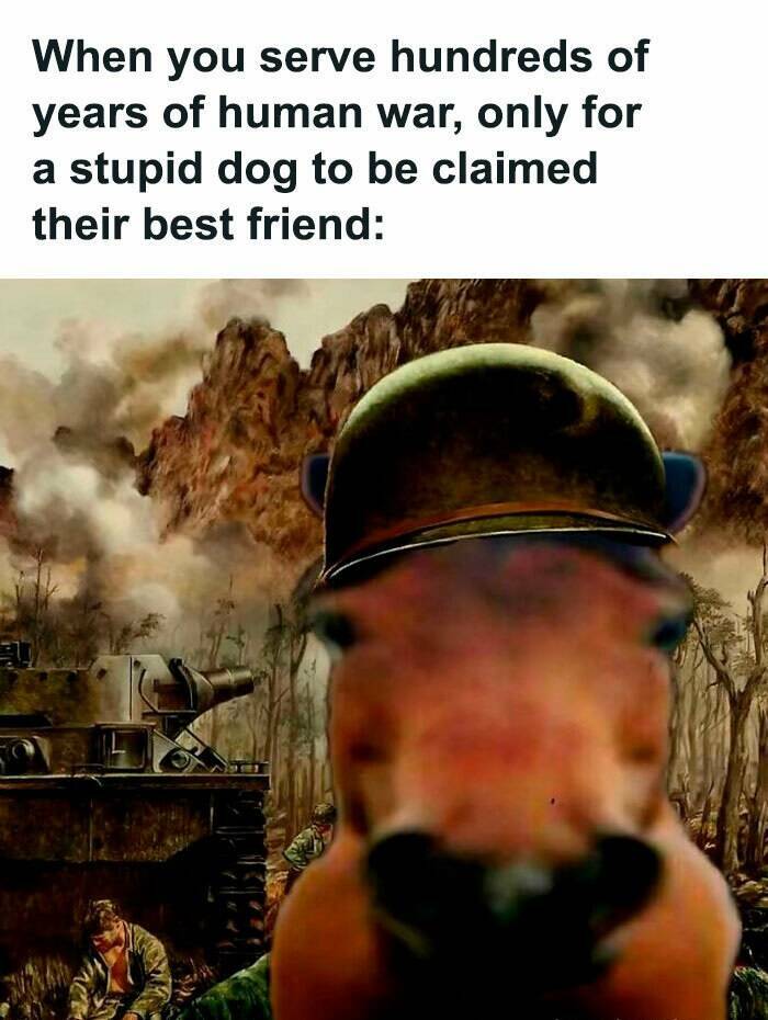 Memes That Perfectly Explain History