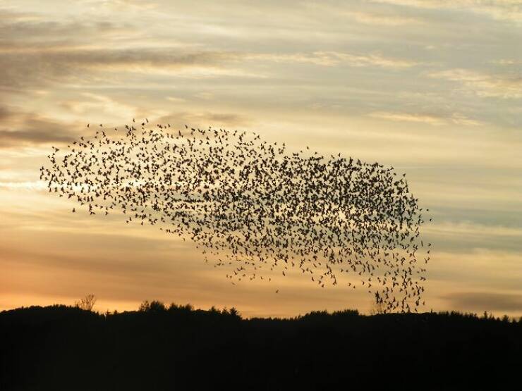 The Most Incredible Natural Phenomena