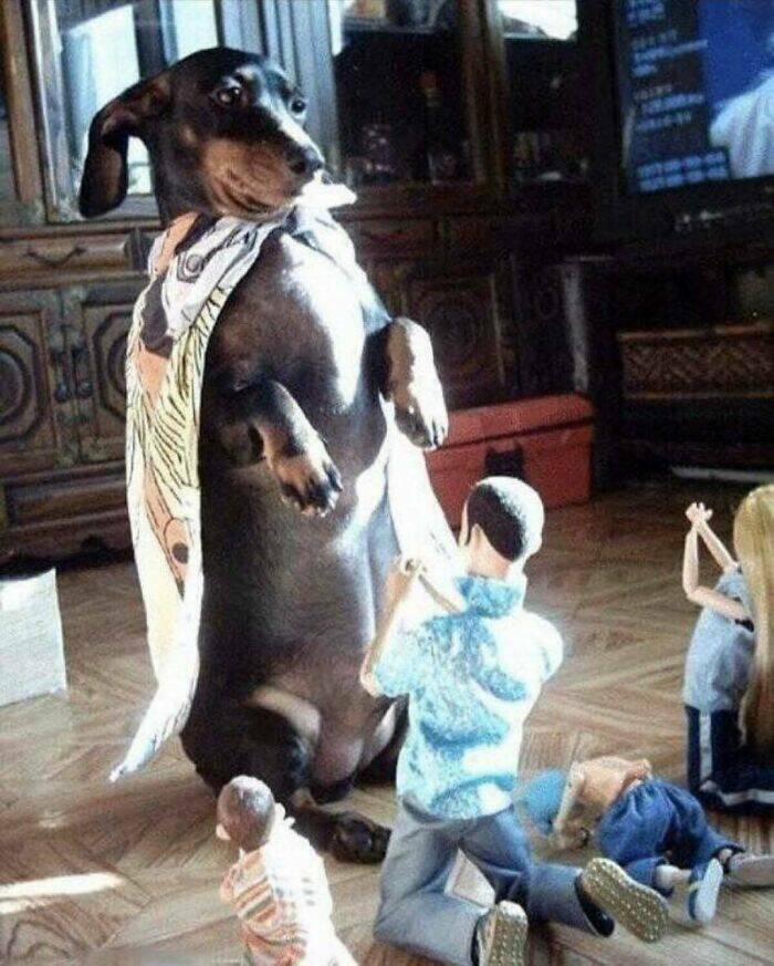 Weird Images That Defy Logic