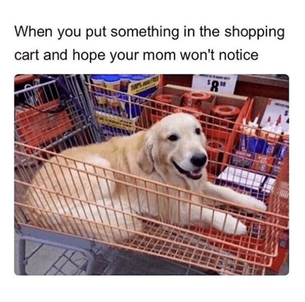 Hilarious Grocery Shopping Memes