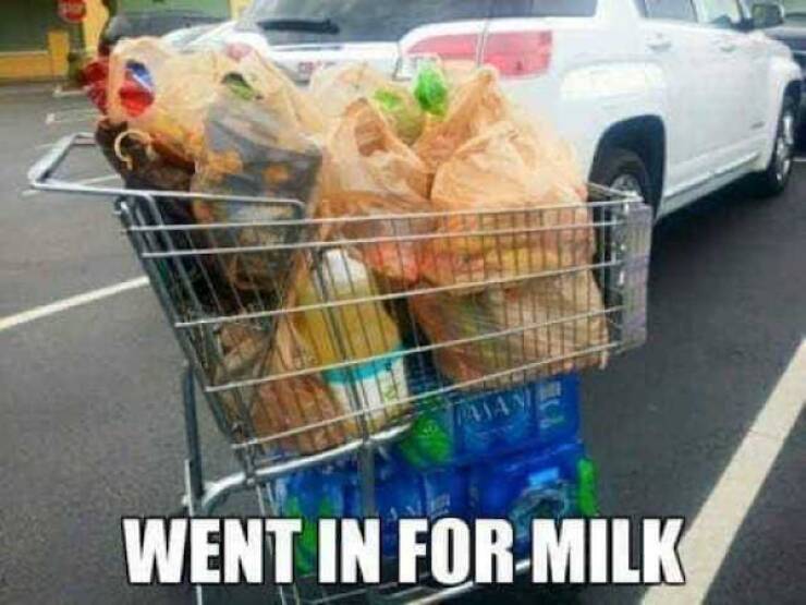 Hilarious Grocery Shopping Memes