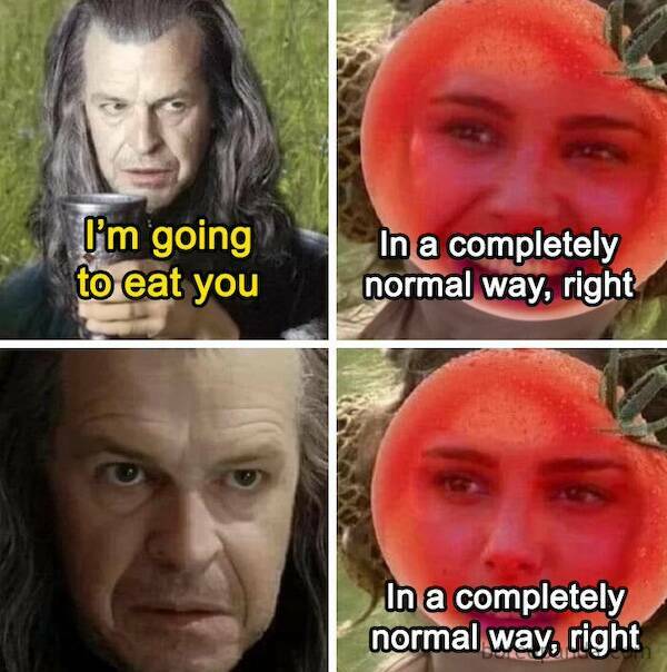 LOTR Memes To Rule Them All