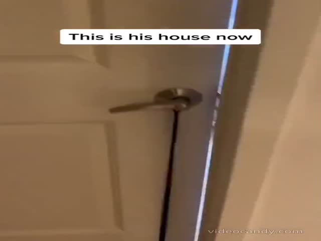 This Is His House