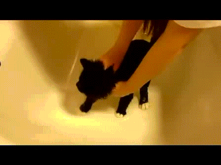 Daily Gifdump Daily Gifdump