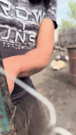 Daily Gifdump Daily Gifdump