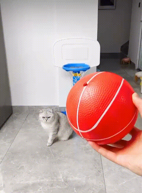 Daily Gifdump Daily Gifdump