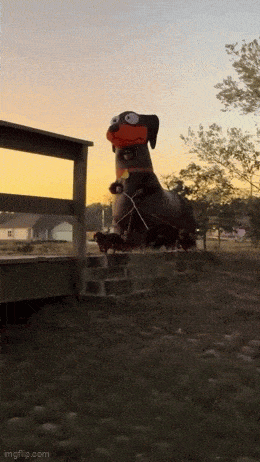 Daily Gifdump Daily Gifdump