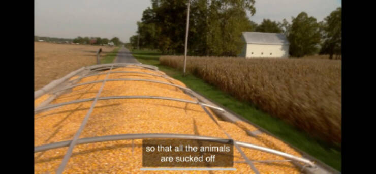 Hilarious Closed Captioning Moments That Stole The Show