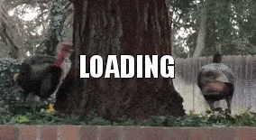 Daily Gifdump Daily Gifdump