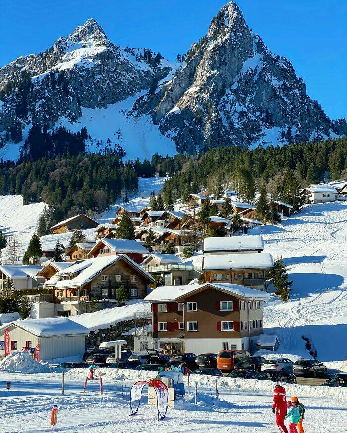 Fascinating Facts To Spark Your Curiosity