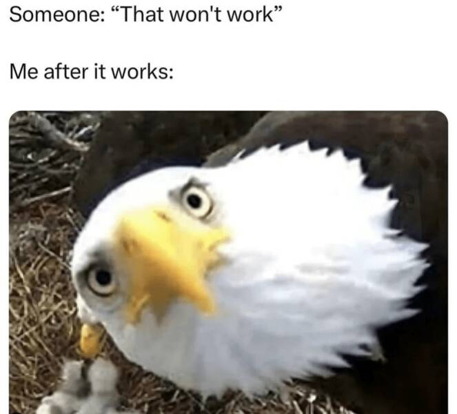 Funny Picdump Funny Picdump