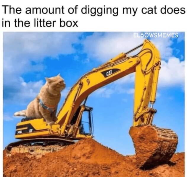 Funny Picdump Funny Picdump