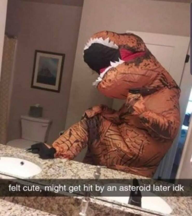 Funny Picdump Funny Picdump