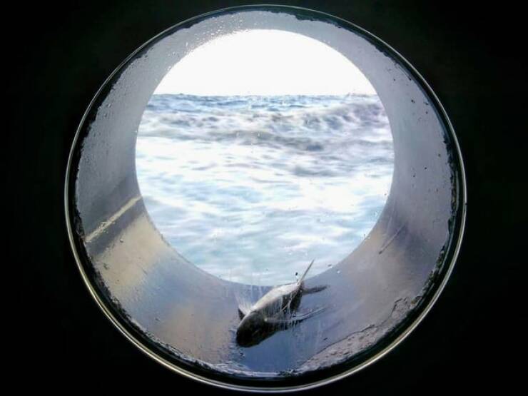 Mildly Interesting But Weirdly Satisfying Photos