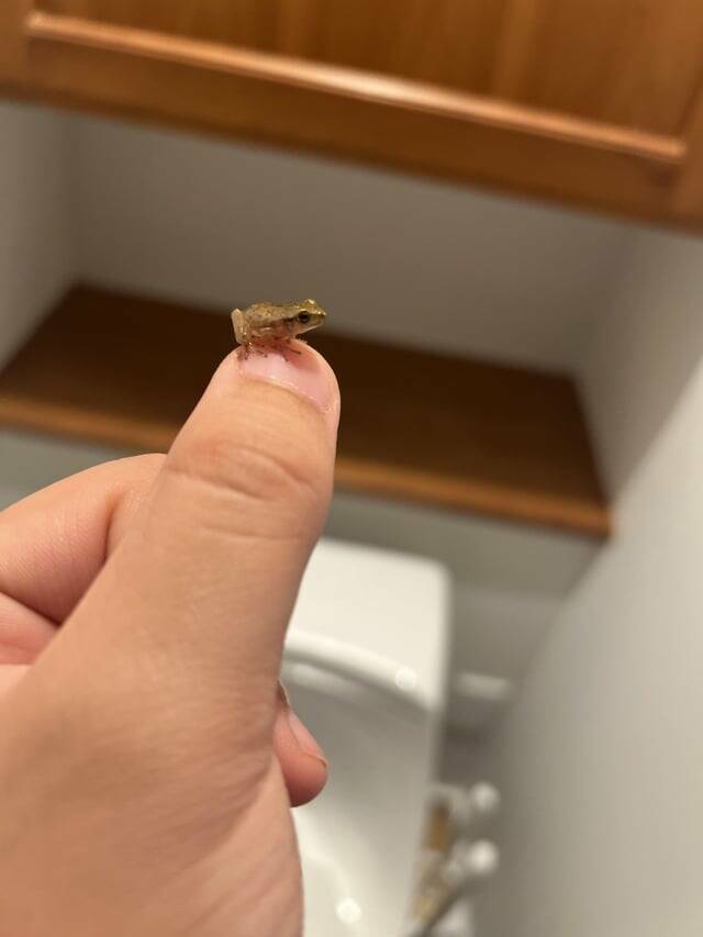 Mildly Interesting But Weirdly Satisfying Photos