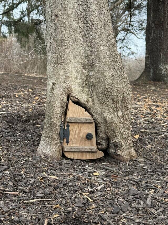 Mildly Interesting But Weirdly Satisfying Photos