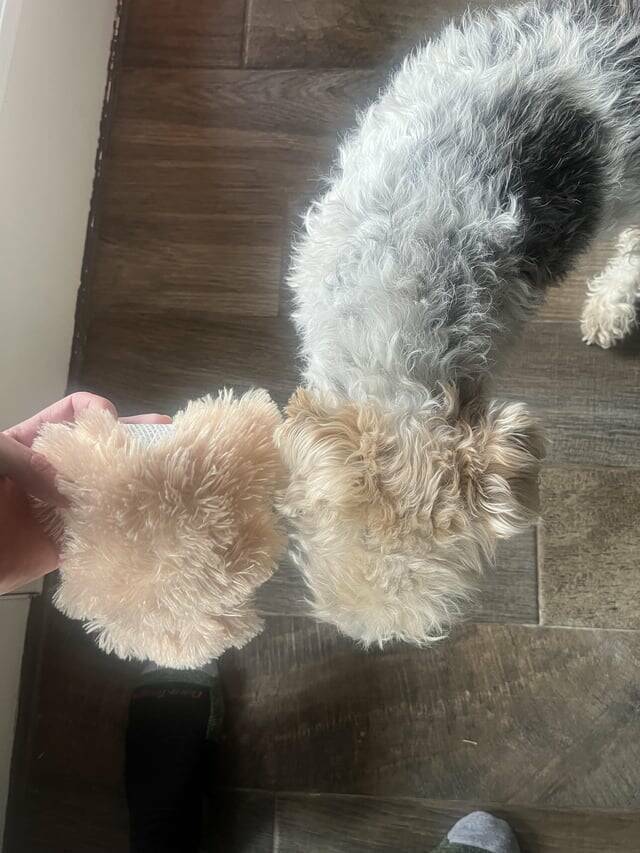 Mildly Interesting But Weirdly Satisfying Photos