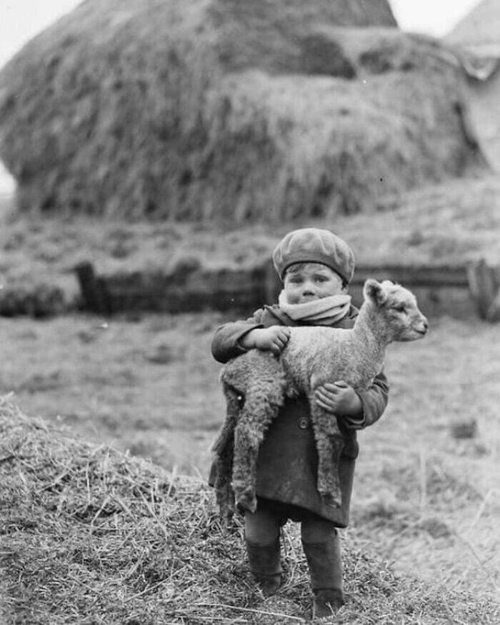 Rare Historical Photos You Never Saw In School