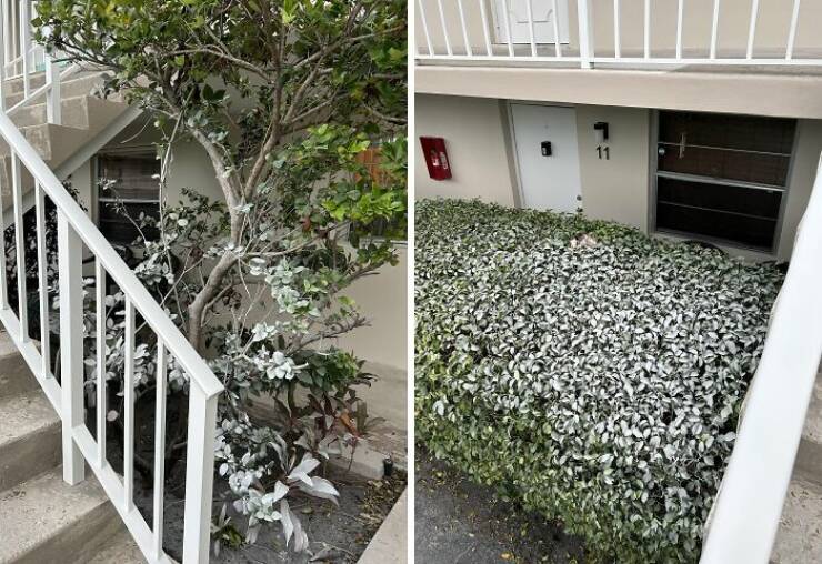 Ridiculous HOA Rules That Went Too Extreme