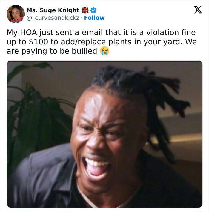 Ridiculous HOA Rules That Went Too Extreme