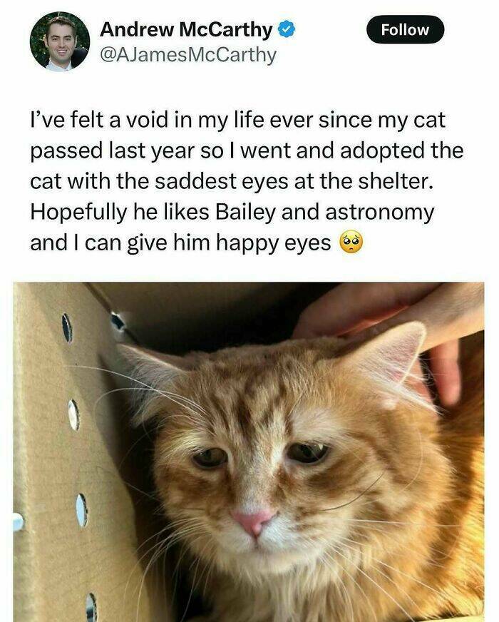 When Animals Unknowingly Created The Funniest Memes