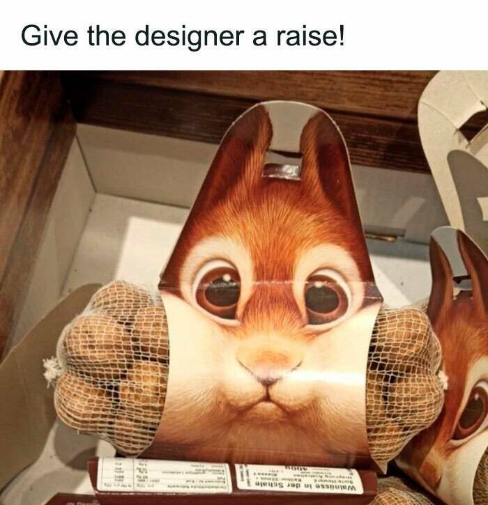 When Animals Unknowingly Created The Funniest Memes