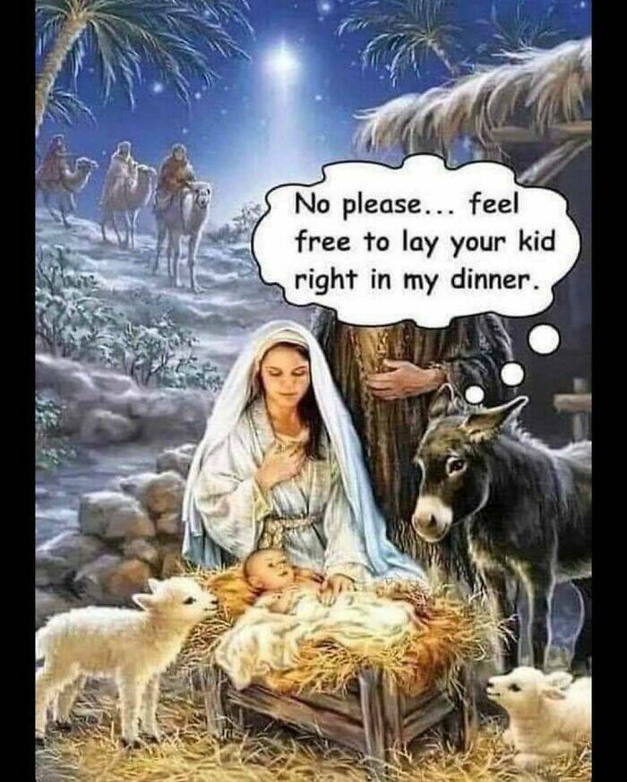 When Animals Unknowingly Created The Funniest Memes