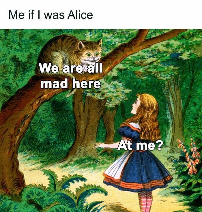 When Animals Unknowingly Created The Funniest Memes