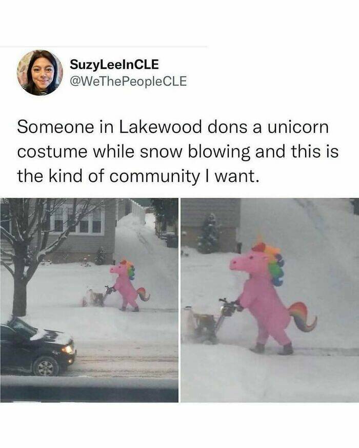 When Animals Unknowingly Created The Funniest Memes