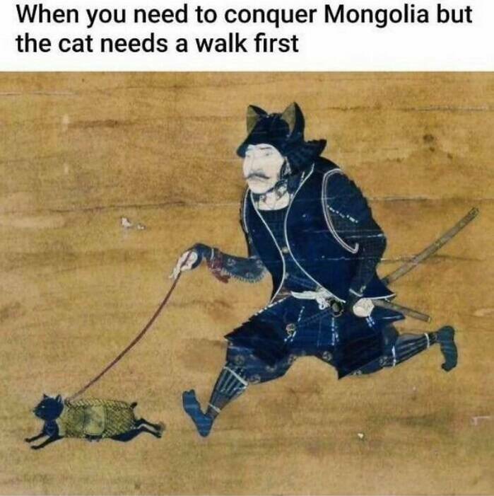 When Animals Unknowingly Created The Funniest Memes