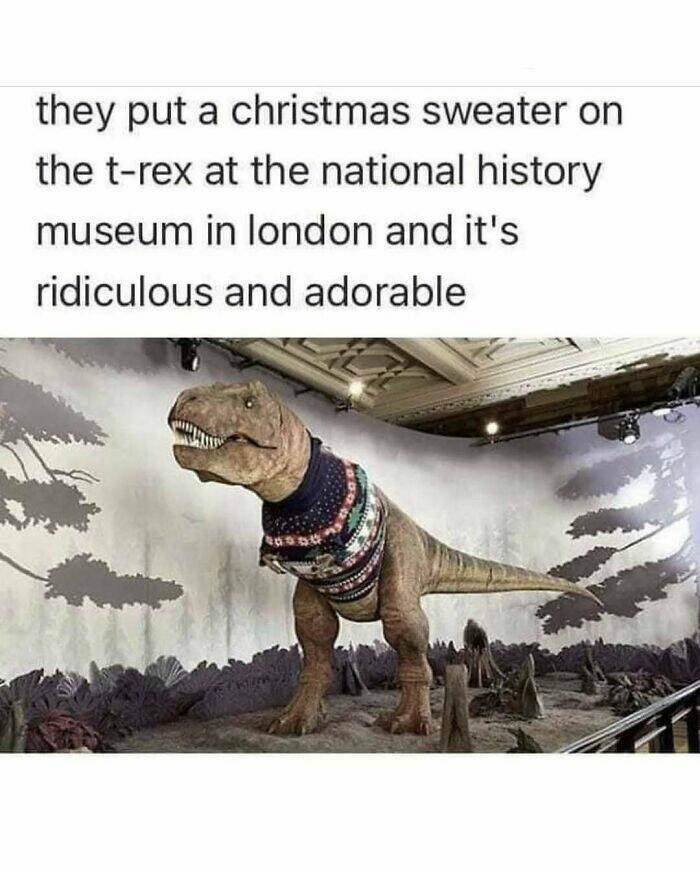 When Animals Unknowingly Created The Funniest Memes