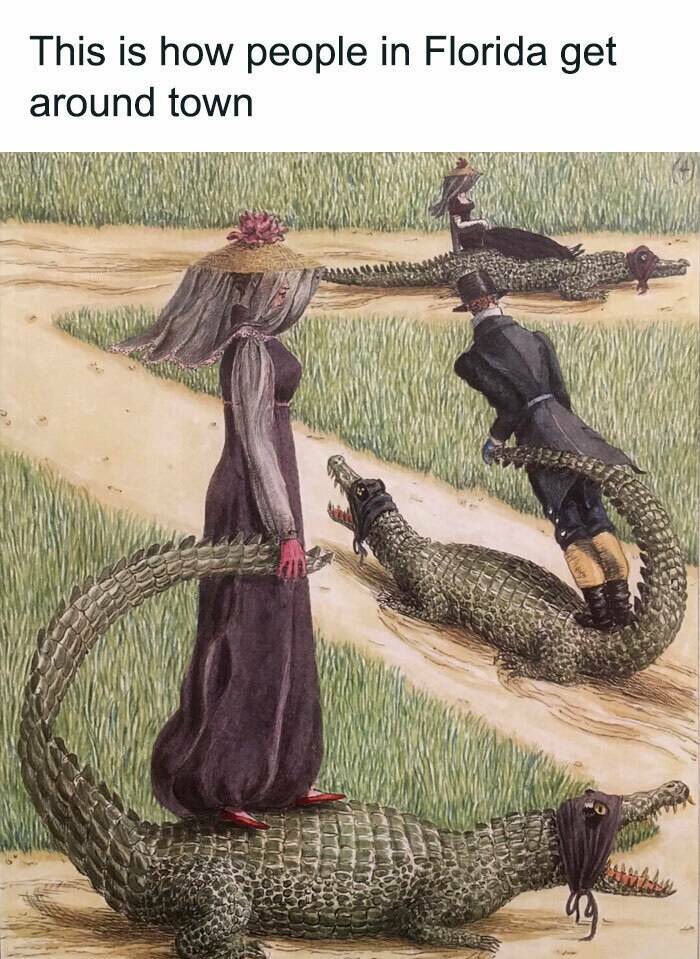 When Animals Unknowingly Created The Funniest Memes